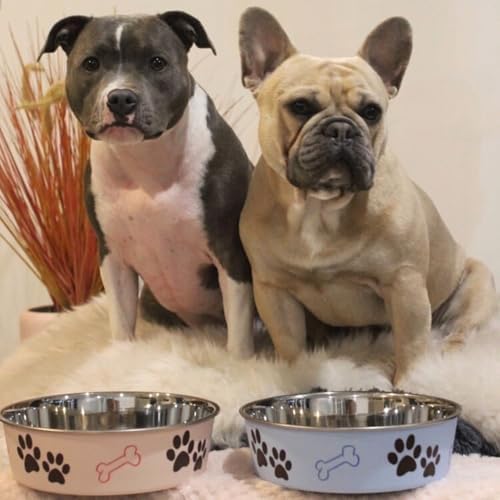 Loving Pets Bella Dog Bowls- Stainless Steel Dog & Cat Bowls - Spill Proof Dog Food Bowl, Cat Bowl, Puppy Essentials & Pet Supplies Great for Home & Travel (Medium 20-35 lbs, Murano Blue) - Image 5