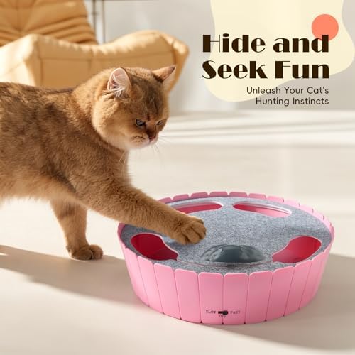 Pawaboo Interactive Cat Toy with Running Mouse, Automatic Track Kitten Toy - Image 2