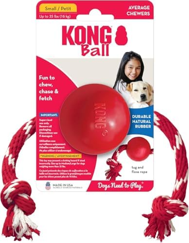 Kong Ball with Rope, Natural Rubber Fetch and Tug Toy, Red, for Small Dogs - Image 2