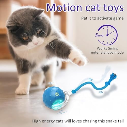 Interactive Cat Toys Ball for Indoor Cats (Blue) - Image 3