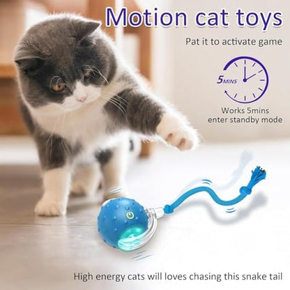 Interactive Cat Toys Ball for Indoor Cats (Blue) - Image 3