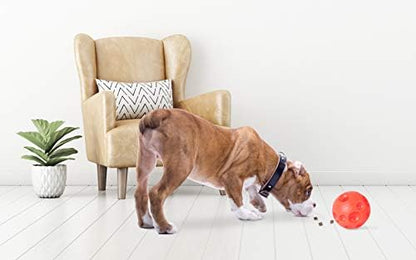 Omega Paw Authentic Tricky Treat Ball Large - Image 4