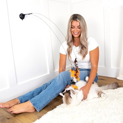 Cat Toys For Indoor Cats: Interactive Cat Toy Wand, 9 Feathers Wand Lures - Image 7