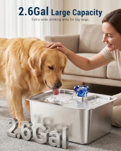 10 L Stainless Steel Dog Water Fountain for Large Dogs, 4 Filters - Image 2