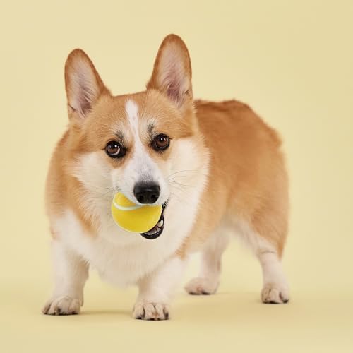 Playology Squeaky Chew Ball Dog Toy - Medium, Chicken Scent, 2-Pack - Image 3
