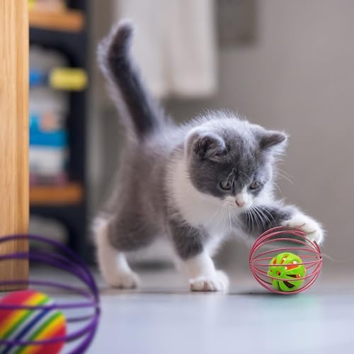 Andiker Cat Toy Ball,6pcs Cat Interactive Toy for Cats,Caged Mouse and Ball for Cats to Chase and Grab (Ball Toy) - Image 5