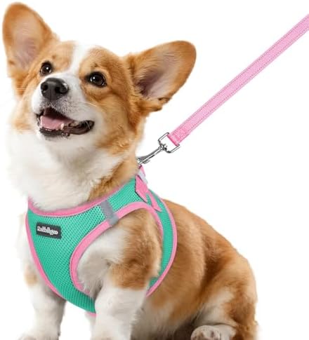 rabbitgoo Dog Harness Small Sized and Leash Set, Step in Soft Vest by rabbitgoo