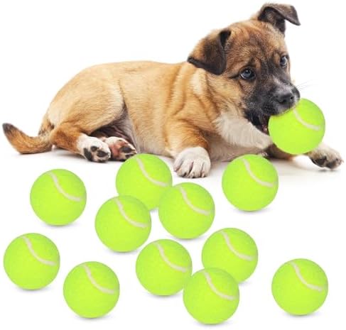 Tennis Balls for Dogs, 12 Pack, 2-Inch Small Size, Indoor Outdoor Interactive Fetch Toys, Chew-Resistant Training Balls by ZAPELL