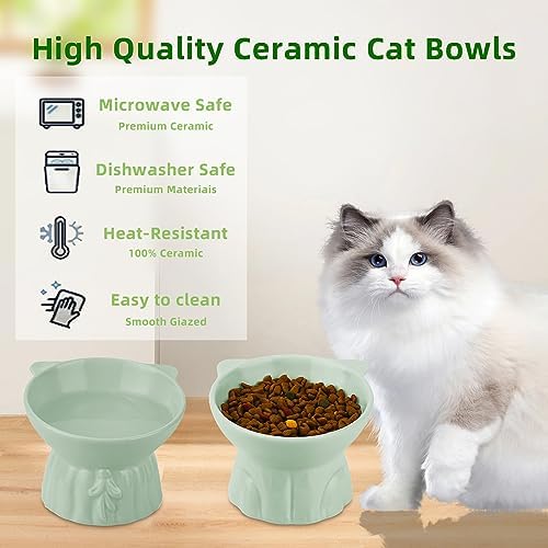 Elevated Cat Bowls 2-Pack, Ceramic Raised Cat Food & Water Dishes - Extra Wide & Shallow Whisker-Friendly Design, Anti-Vomit & Easy Digestion, Lead/Cadmium-Free, Microwave & Dishwasher Safe (Green) - Image 5