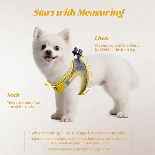 No Pull Dog Puppy Harness and Leash Set Reflective Mesh Vest Large - Image 2