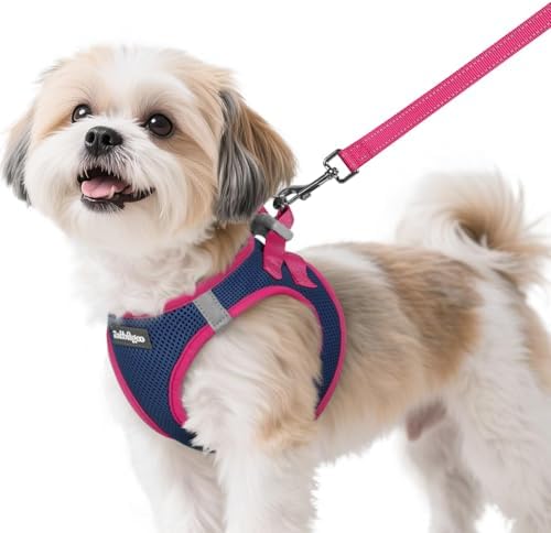 rabbitgoo Dog Harness Small Sized and Leash Set, Step in Soft Vest by rabbitgoo