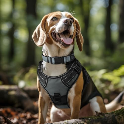 Joytale Reflective Dog Collar, Adjustable Neoprene Padded, Gray L - Image 2