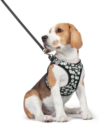 rabbitgoo Dog Harness Medium Sized and Leash Set, Step-in Puppy Pet Vest by rabbitgoo