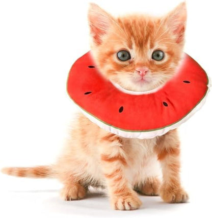 Kitten Cones After Surgery 0-6 Months, Donut Extra Small Cone Collar by Jevnd