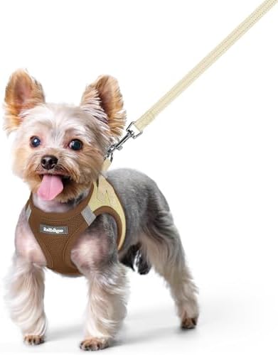 rabbitgoo Dog Harness Small Sized and Leash Set, Step-in Puppy Pet Vest by rabbitgoo