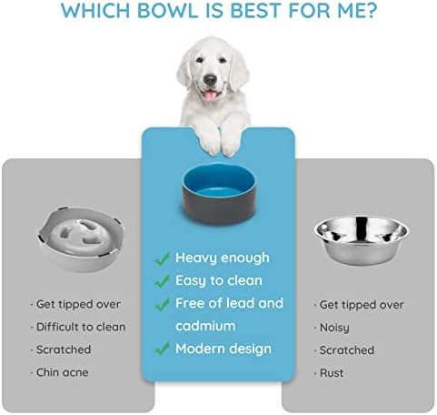 SPUNKYJUNKY 28.7OZ Ceramic Dog and Cat Bowl, Modern Cute Weighted Food Water Bowl for Replacement Blue-Grey (2 Pack) - Image 3