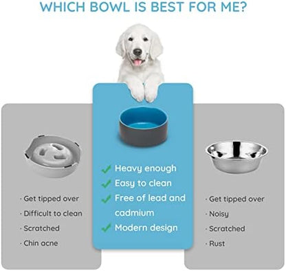 SPUNKYJUNKY 28.7OZ Ceramic Dog and Cat Bowl, Modern Cute Weighted Food Water Bowl for Replacement Blue-Grey (2 Pack) - Image 3