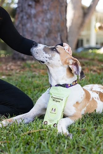 Natural Dog Company XL Dog Wipes for Paws and Butt - Hypoallergenic, Biodegradable, Fragrance Free - Large 7×8 inch Grooming Wipes for Dogs Face and Body - Sensitive Skin Pet Wipes - 50 Count - Image 6