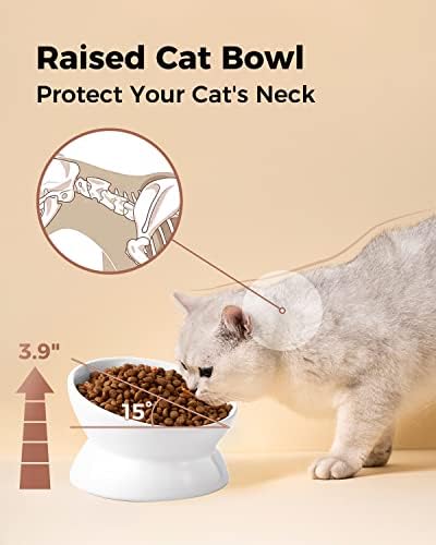 LoeJan Elevated Cat Food Bowl, 5 Oz Ceramic Raised and Tilted Water Bowl, Anti Vomiting and Protect Pets' Spines Dishes for Small Dog, Fat Faced Cat, Kitten (White, 1 Pack) - Image 5
