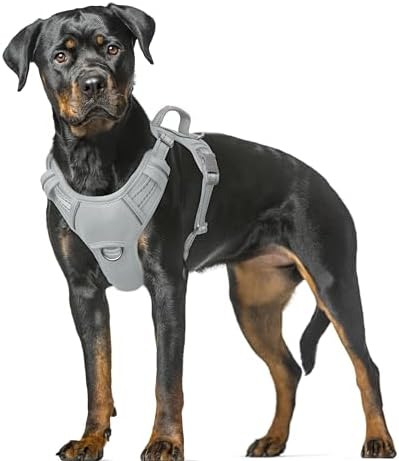 BARKBAY No Pull Dog Harness Large Reflective Dog Harness with Front Clip and Easy Control Handle for Walking Training Running with ID tag Pocket(Grey,XL) by BARKBAY