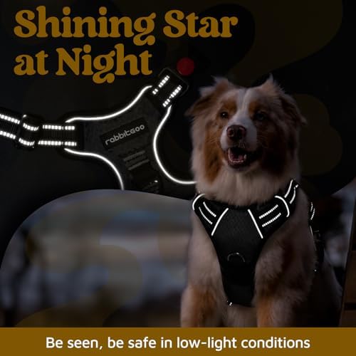 rabbitgoo Dog Harness for Large, No Pull 3 Buckles Easy On & Off - Image 6