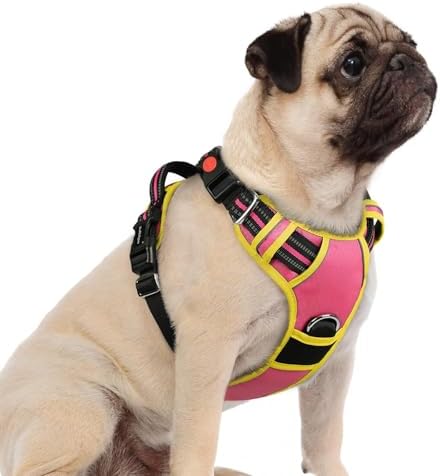 rabbitgoo Dog Harness Small Sized, No Pull 3 Buckles Easy On & Off by rabbitgoo