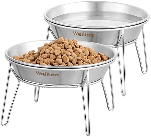 Elevated Cat Bowls, Wide Stainless Steel Cat Food Bowls with Metal Stand Whisker Stress-Free, Raised Food and Water Dish for Cats, Kitten, Puppies and Small Dogs by Wellbro