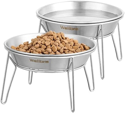 Elevated Cat Bowls, Wide Stainless Steel Cat Food Bowls with Metal Stand Whisker Stress-Free, Raised Food and Water Dish for Cats, Kitten, Puppies and Small Dogs by Wellbro