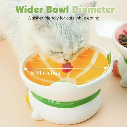 kathson Ceramic Raised Cat Bowl, 15° Tilted Elevated Cat Food Bowl, Raised Cat Food Bowls Anti Vomiting, Small Cat Feeding Bowlswith Stand for Protecting Spine, Strawberry Shaped Cute Kitten Bowl - Image 6