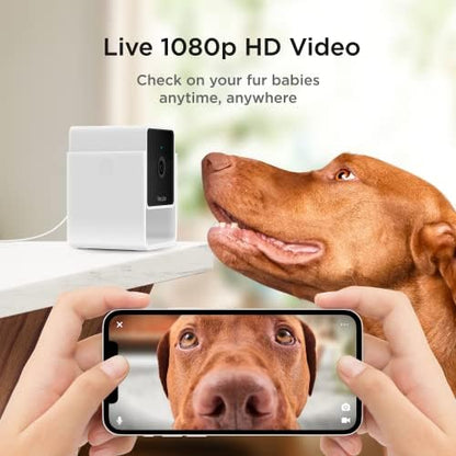 Petcube Cam – Indoor Wi-Fi Pet & Security Camera with App - Image 5