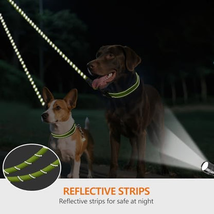 Taglory Double Dog Leash Coupler for Two Dogs, 1/3" Lightweight Dual Leash Extension for Small and Medium Dogs, No Tangle 360° Swivel, Reflective Rope, 30 Inch, Green - Image 4
