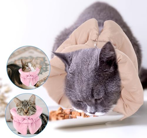 BOXOB Adjustable Waterproof & Soft Recovery Collar for Dogs and Cats - Image 6