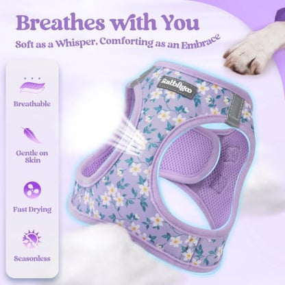 rabbitgoo Dog Harness Small Sized and Leash Set, Step-in Puppy Pet Vest - Image 4