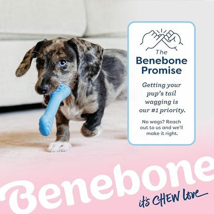 Benebone Puppy 2-Pack Rubber Bone/Wishbone Bacon Tiny - Image 6