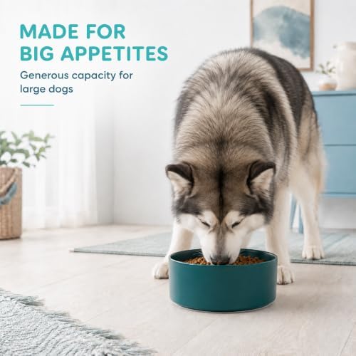 Havniva Ceramic Dog Bowls, 8.3” Dog Food and Water Bowl, Pet Feeding Bowl - Image 6
