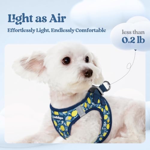rabbitgoo Dog Harness Medium Sized and Leash Set, Step-in Puppy Pet Vest - Image 3
