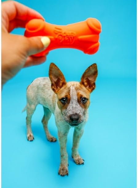 Dura Play Soft Dog Bone Toy for Gentle Chewers, Latex, Green Colors, Exterior is Made of Firm, Natural Latex for Durability, Medium