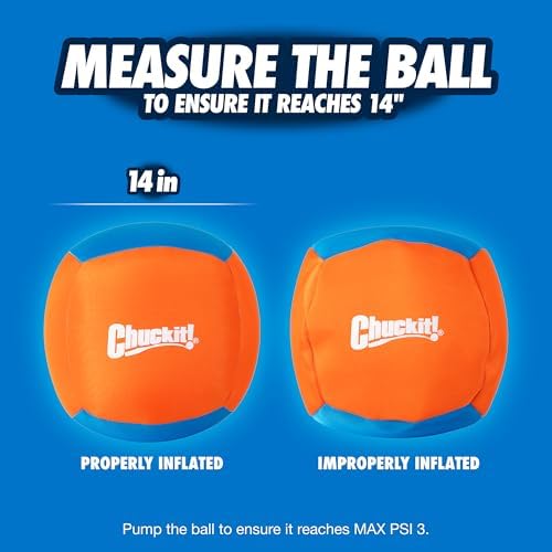 Chuckit! Big Air Fetch Ball Dog Toy, Herding Instincts, 14-in - Image 6