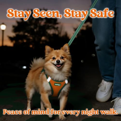rabbitgoo Dog Harness Small Sized and Leash Set, Step in Soft Vest - Image 5