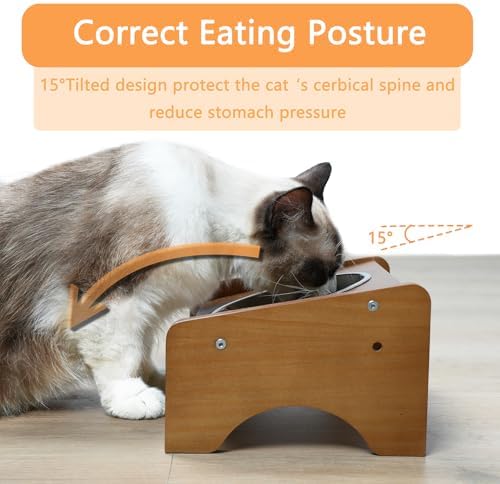 Elevated Stainless Steel Raised Food and Water Bowls, 15 Tilted Anti Vomiting, Dishwasher Safe, Non-Slip, Suitable for Cats and Puppies (Brown) - 2 Pack - Image 2