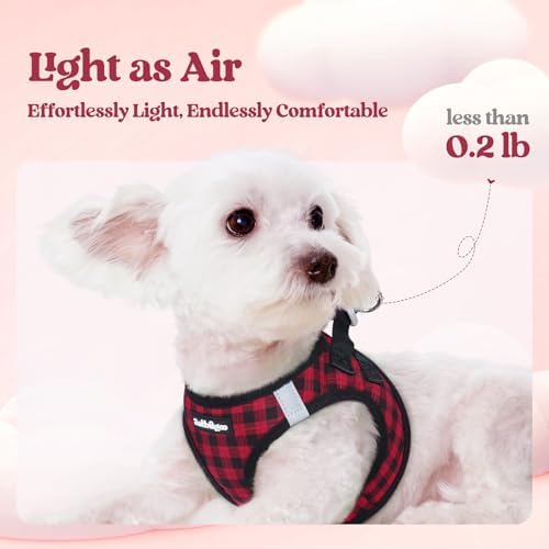 rabbitgoo Dog Harness Medium Sized and Leash Set, Step-in Puppy Pet Vest - Image 3