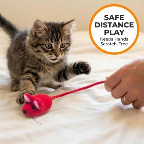 Glaciart One Felt Mouse Cat Toy – Soft Fuzzy Enrichment 100% Natural Wool - Interactive Catnip Play Cat Toy Set - Safe for Pets, Non-AZO Colored Dyes - 42” Long - Image 3