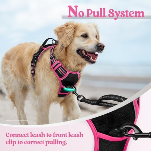 rabbitgoo Dog Harness, No Pull Medium Sized with 2 Leash Clips, Pet Vest - Image 5
