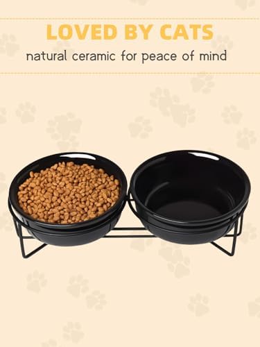 GDCZ Elevated 15 Oz Ceramic Double Cat Bowls with 11.6x2.5 Inch Stand (Black) - Image 4
