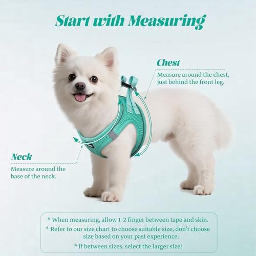 No Pull Dog Puppy Harness and Leash Set Reflective Mesh Vest X-Small - Image 2