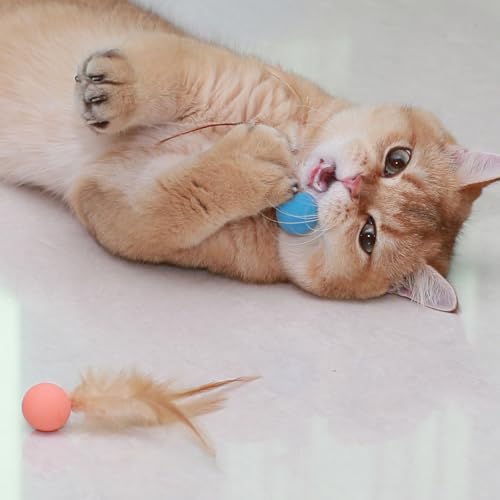Cat Toy Ball with Feathered Tail for Indoor Cats, 3-Pack - Image 6
