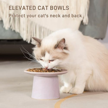 Shallow Cat Food Bowls Eleveted Wide 6" Cat Dish Raised Ceramic Plate, Stress Free, Whisker Fatigue, Dusty Mauve - Image 5