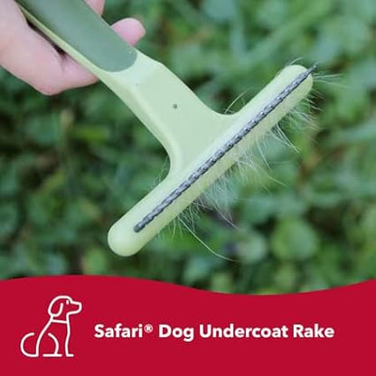Coastal Pet Safari Dog De-Matting Comb and Undercoat Rake - Bundle for Matted Hair and Shedding Prevention