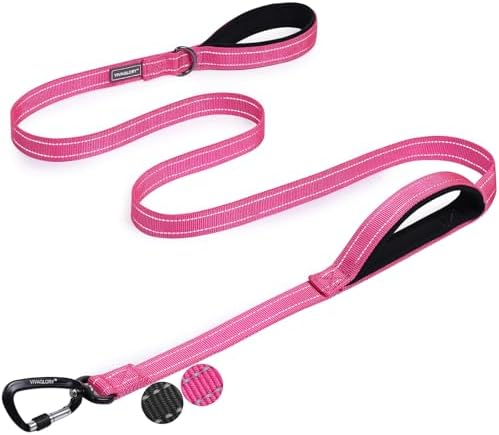VIVAGLORY Double Handle Dog Leash Twingrip, 6ft x 1in, Pink-Carabiner by VIVAGLORY