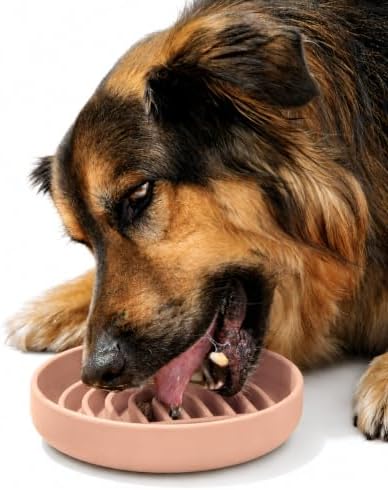 Slow Feeder Dog Bowl - Silicone Dog Bowl, Medium, 7.5" x 1.5" - Blush by ShouldWeGo